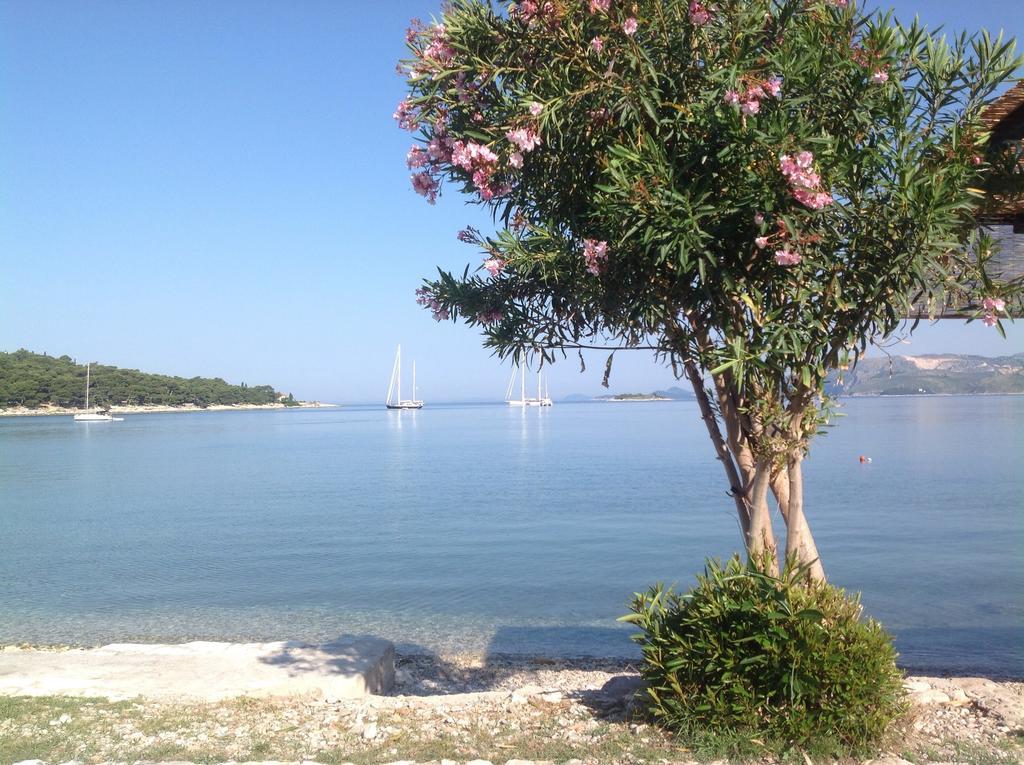 Apartment Biserka Cavtat Zimmer foto